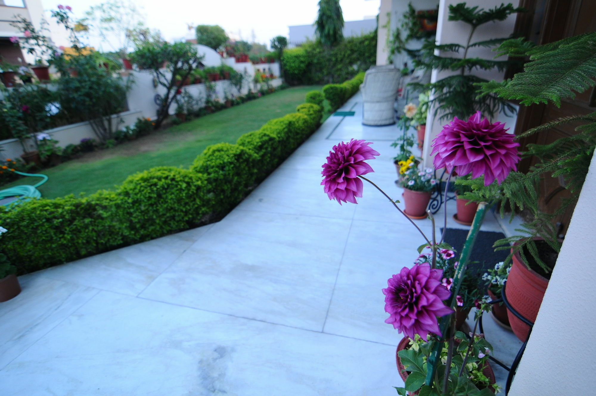 Jaipur Friendly Villa エクステリア 写真